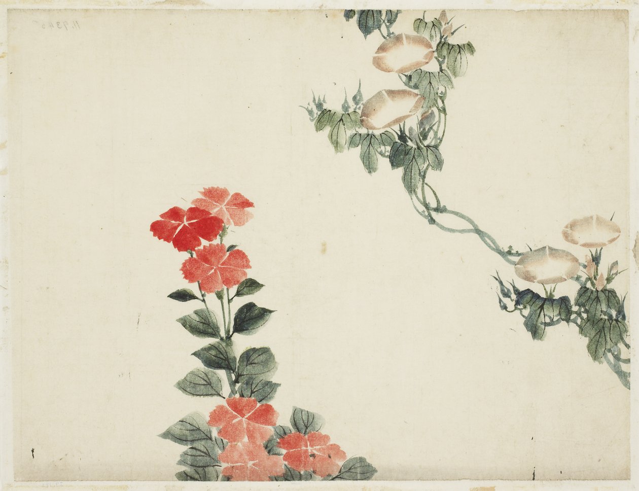 Morning Glory and Red Flowers by Katsushika (school of) Hokusai