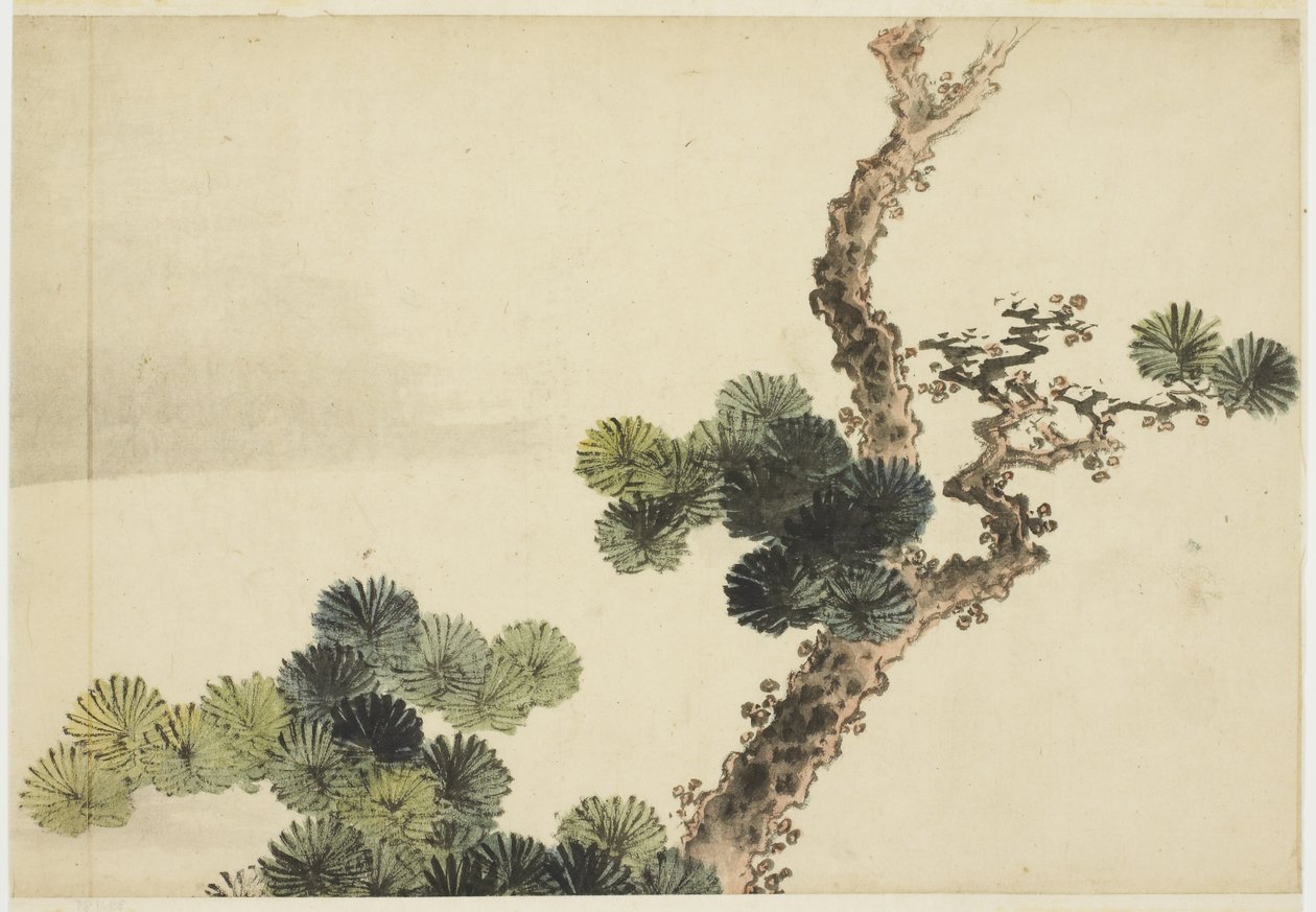 Pine Bough by Katsushika (school of) Hokusai
