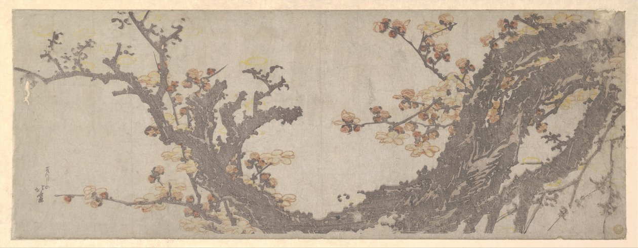 Ancient Plum Tree in Bloom by Katsushika Hokusai