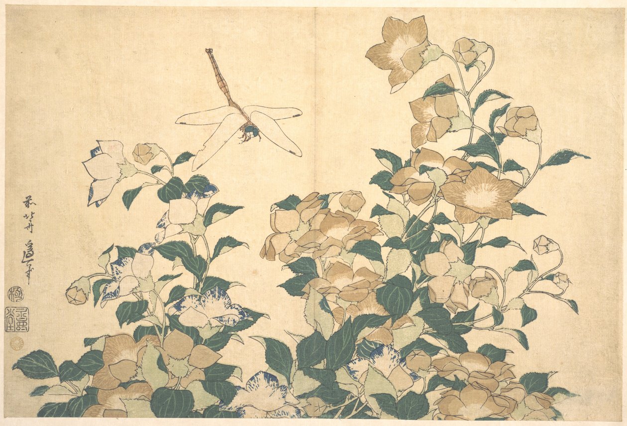 Dragonfly and Bellflower by Katsushika Hokusai