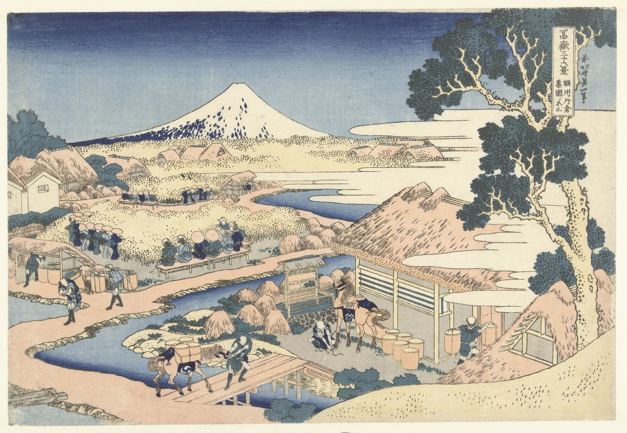 Fuji from the Katakura Tea Plantation in Suruga Province (Sunshu Katakura chaen no Fuji) (36 Views of Mount Fuji) (Fugaku sanjurokkei) by Katsushika Hokusai