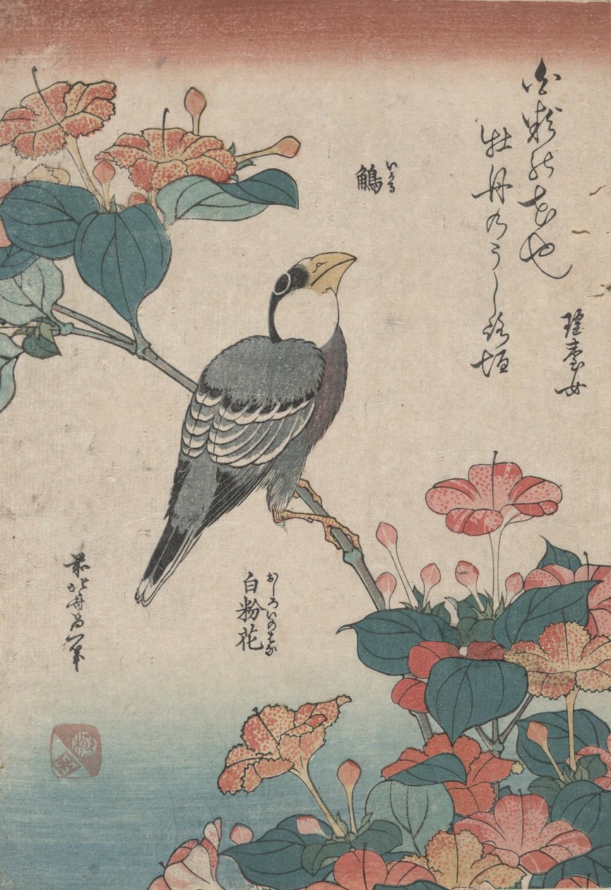 Grosbeak on Mirabilis, from an Untitled Series Named Small Flowers by Katsushika Hokusai
