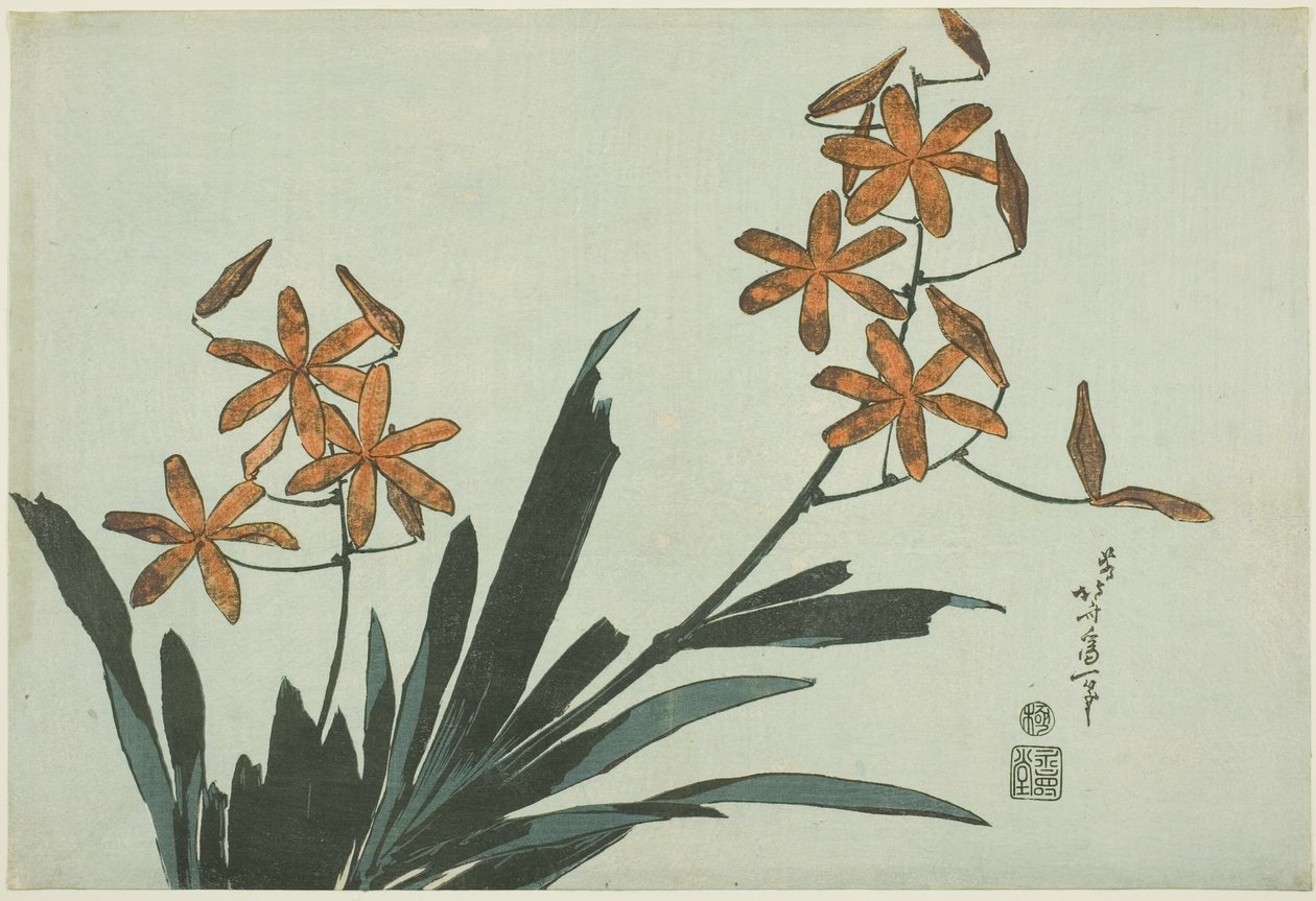 Orange Orchids, from an Untitled Series of Flowers by Katsushika Hokusai