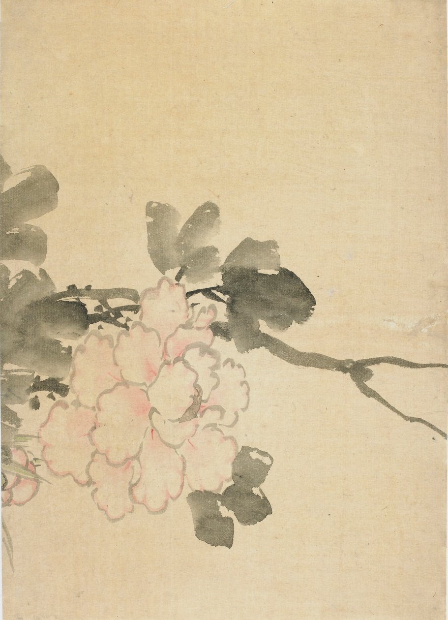 Peony, late 18th-early 19th century by Katsushika Hokusai