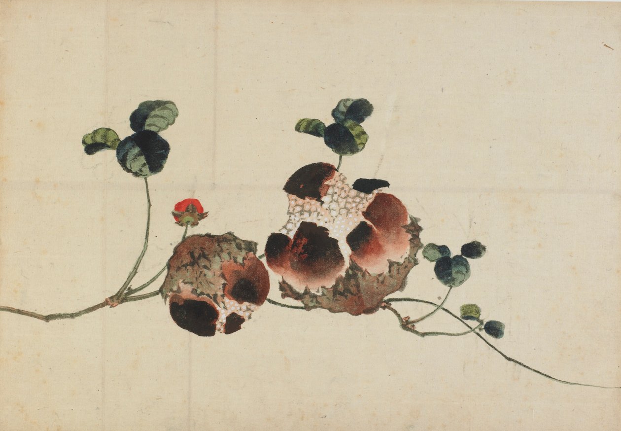 Pomegranates, late 18th-early 19th century by Katsushika Hokusai