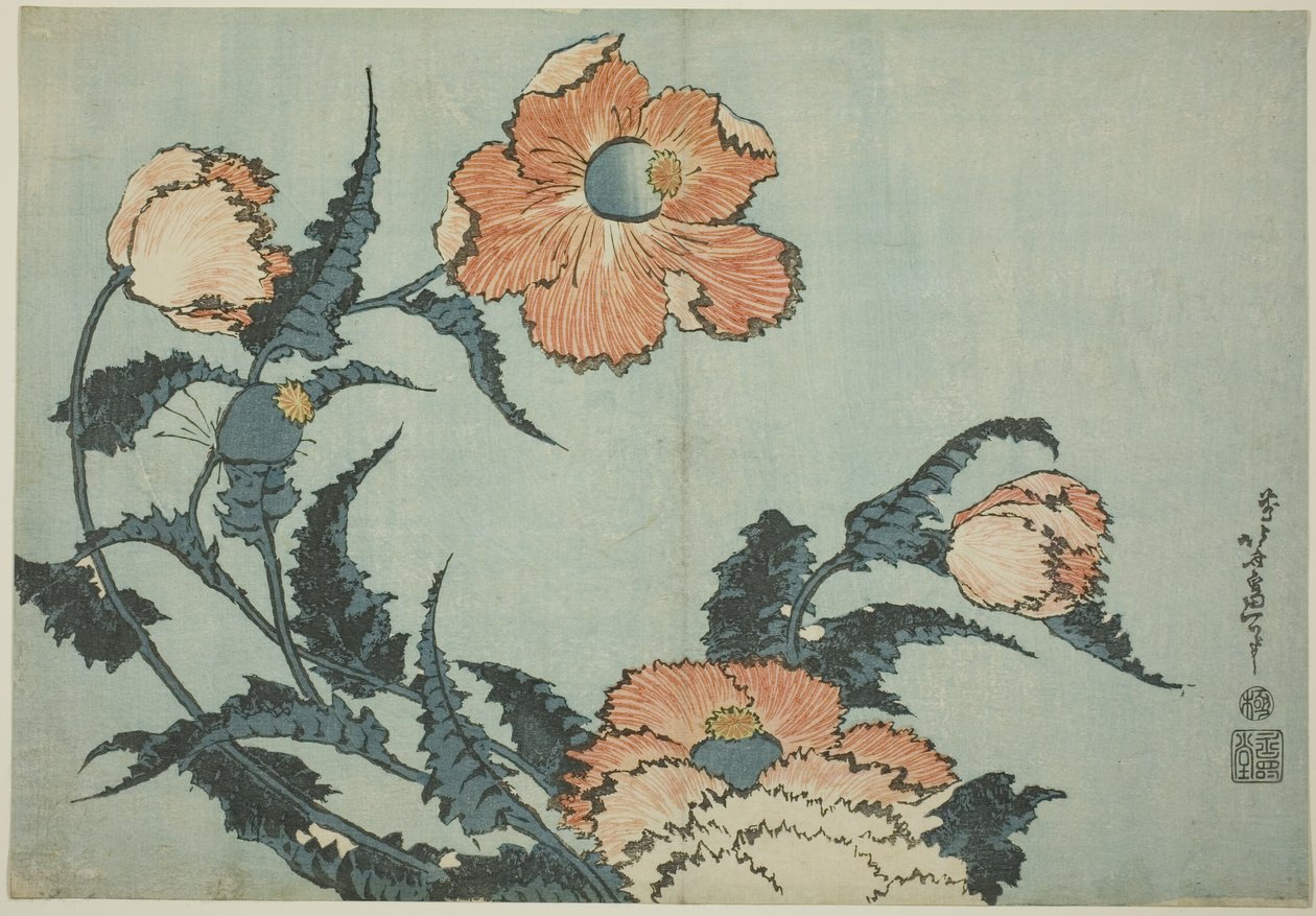 Poppies, from an Untitled Series of Flowers by Katsushika Hokusai