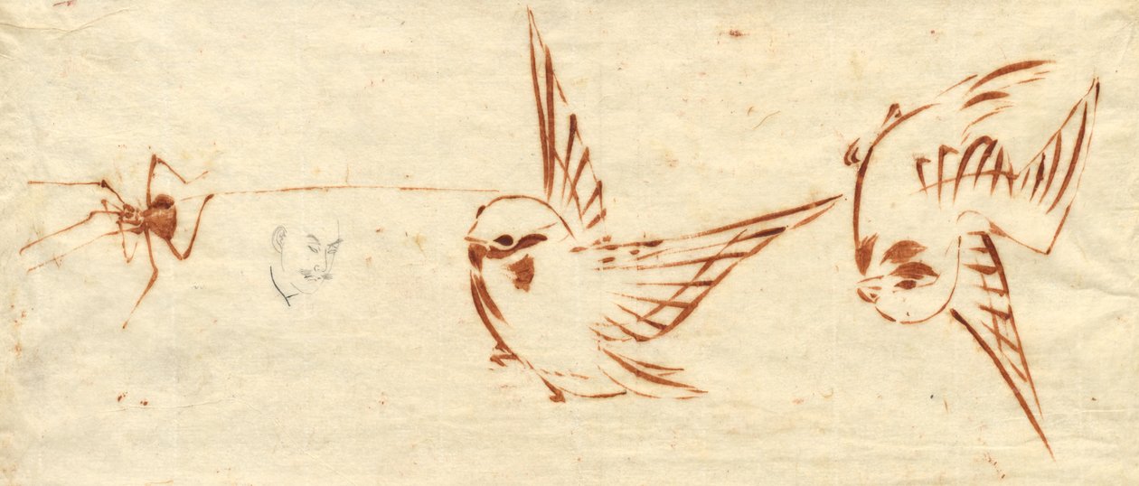 Sketch Page with Birds and Spider by Katsushika Hokusai