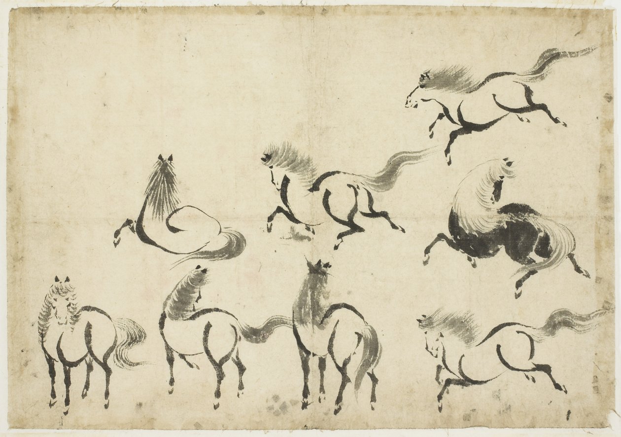Studies of Horses, c.1815-1849 by Katsushika Hokusai