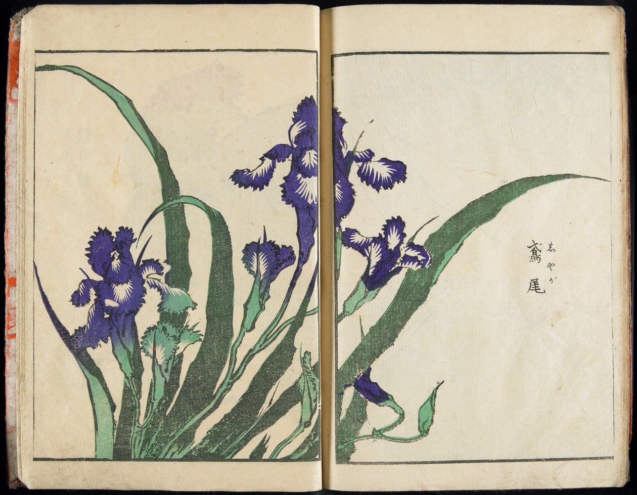 Transmitting the Spirit and Revealing the Form of Things: Hokusai