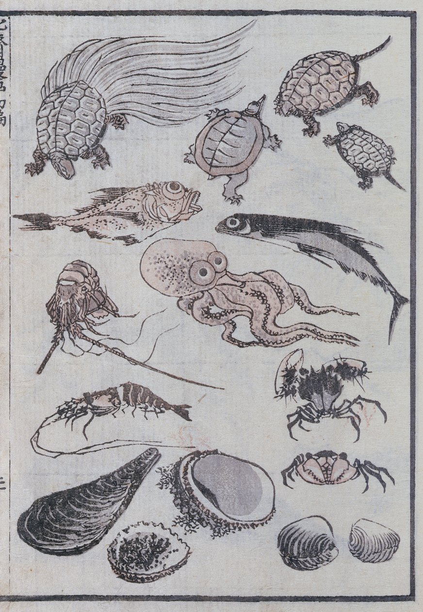 Undersea creatures, from a Manga by Katsushika Hokusai