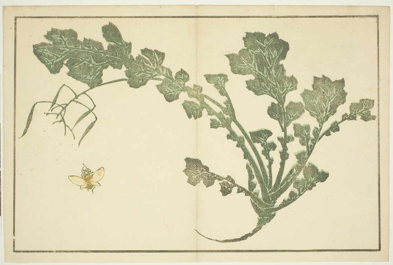 Wasp and Turnip Stalk, from "The Picture Book of Realistic Paintings of Hokusai" by Katsushika Hokusai