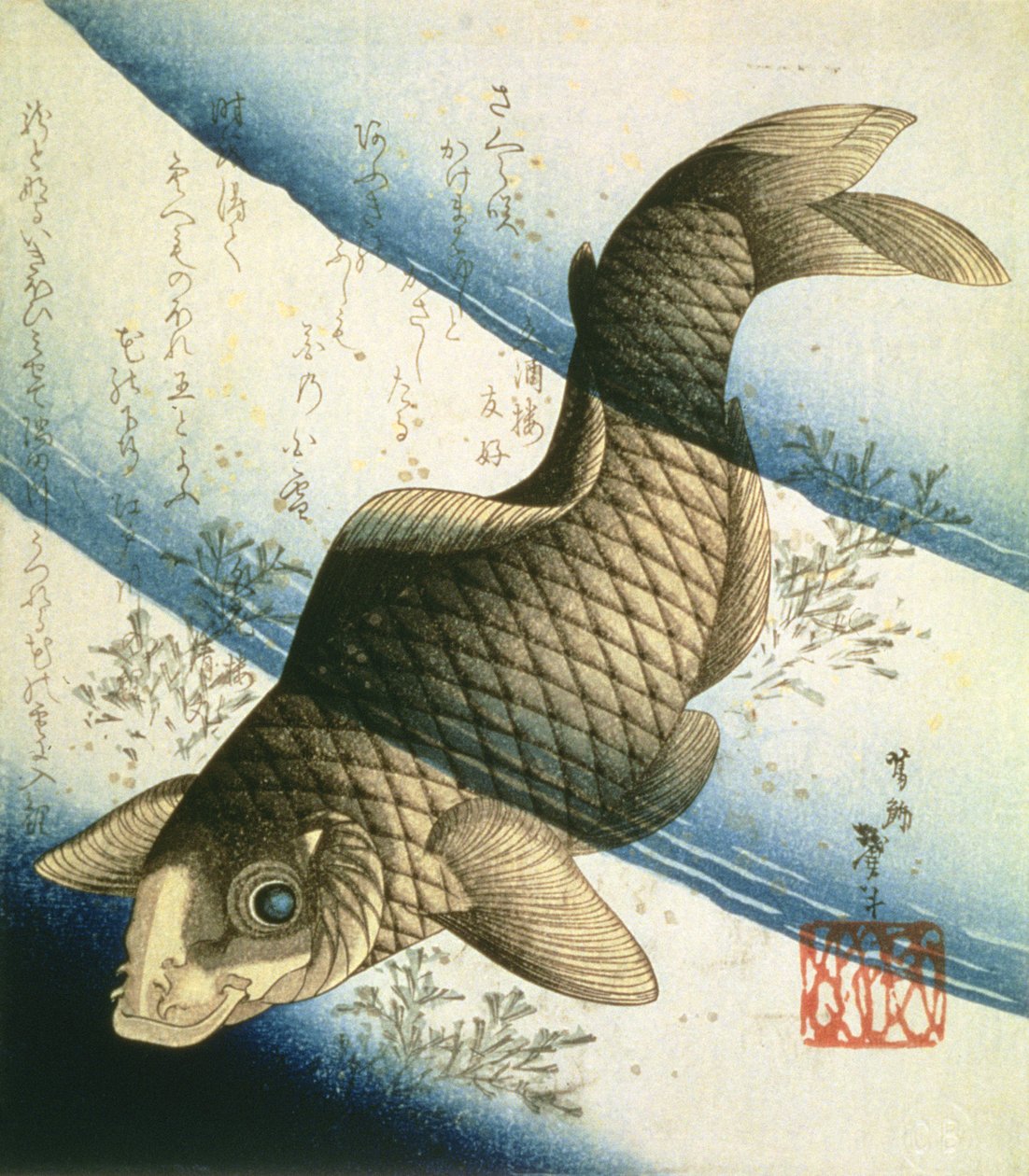 A Carp Swimming among Waterweeds, c.1832 by Katsushika II Taito