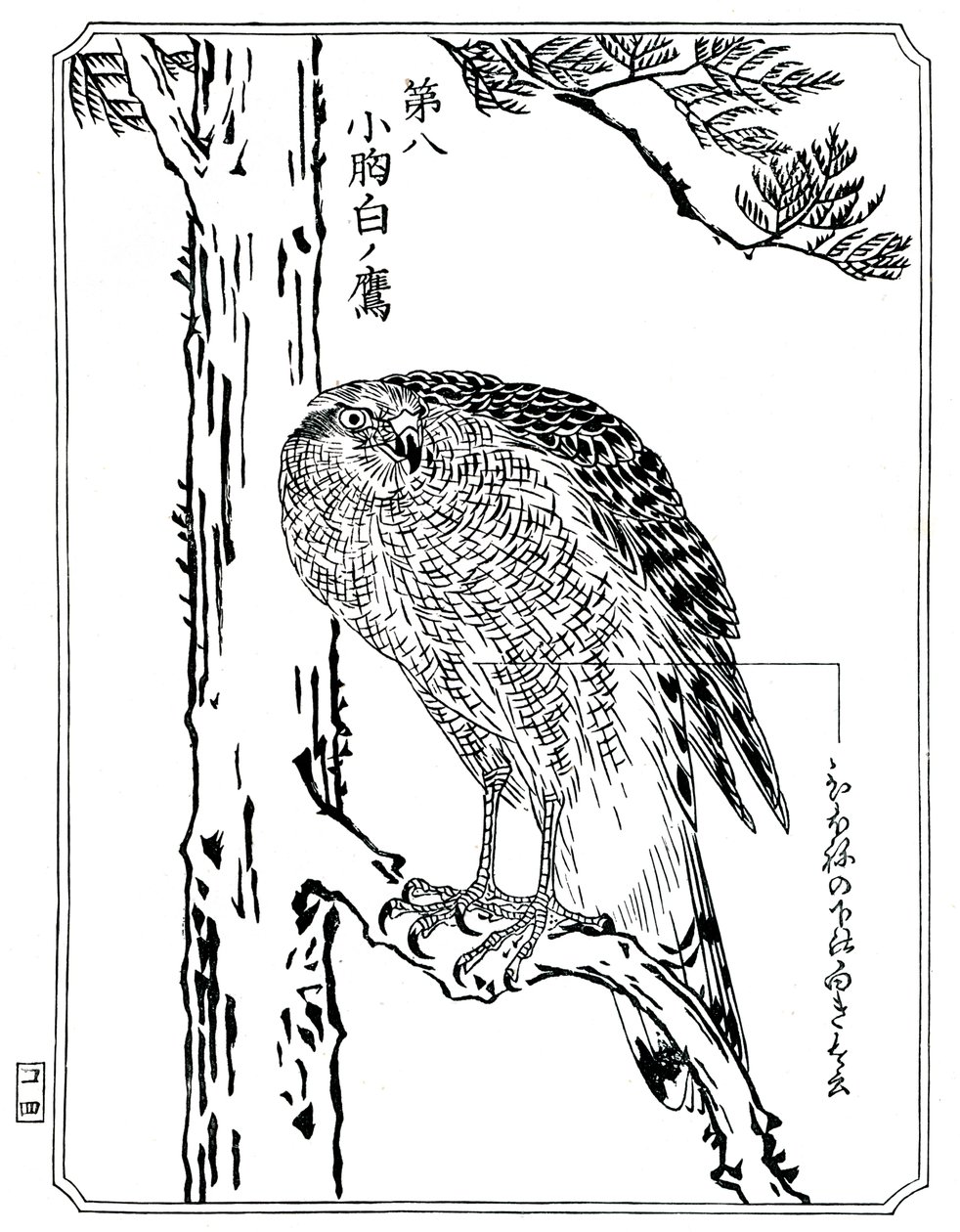 A hawk by Kawanabe Kyosai