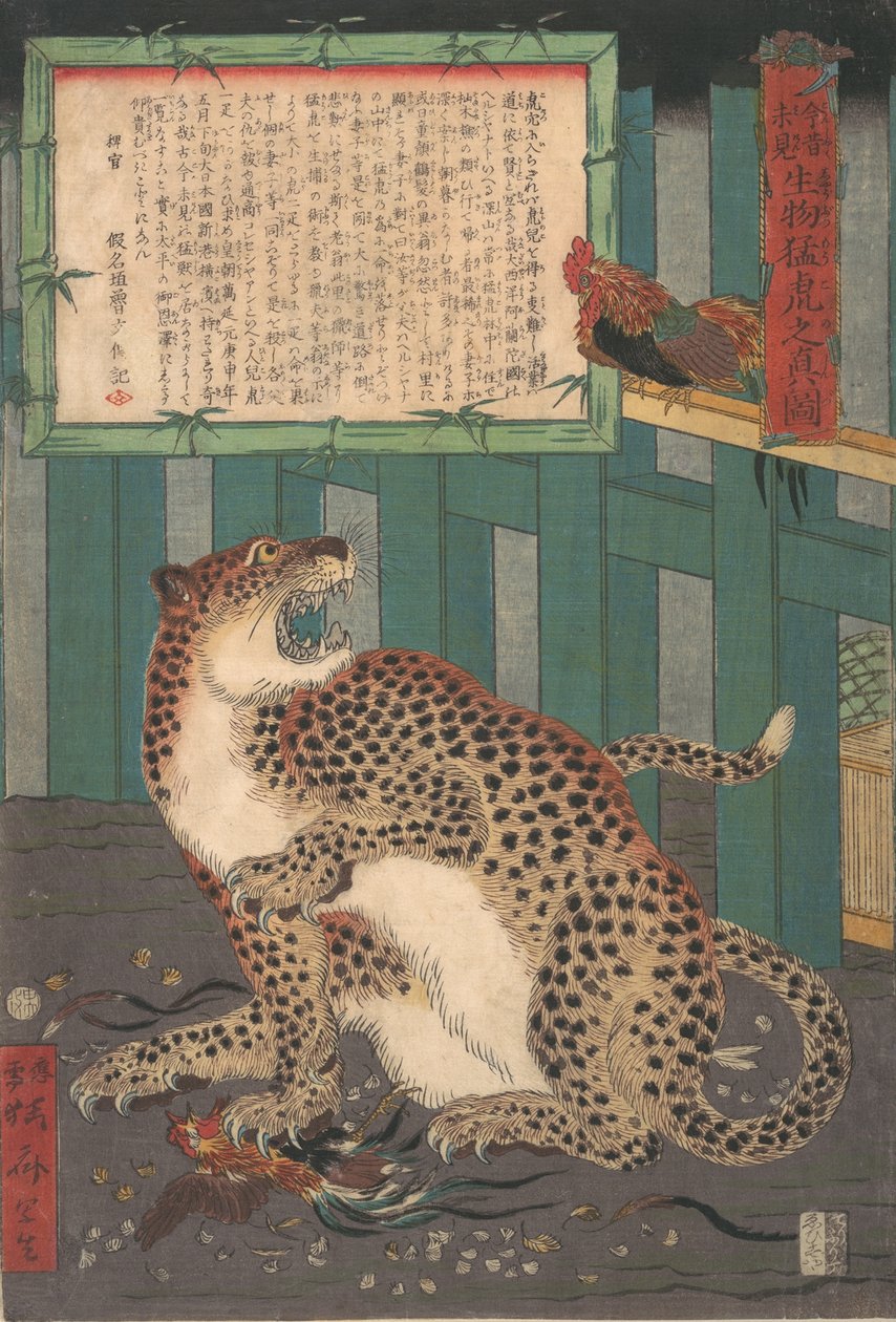Never Seen Before: True Picture of a Live Wild Tiger by Kawanabe Kyosai