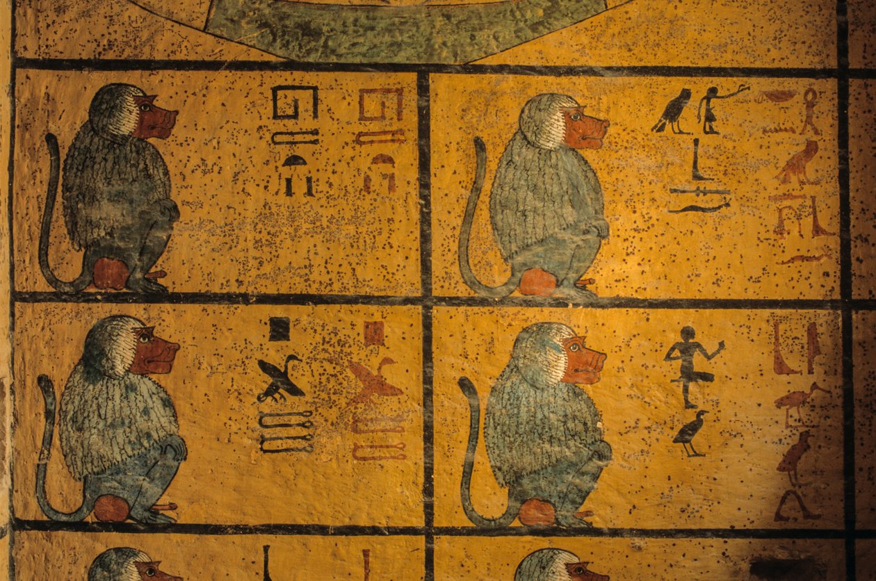 Baboons, Wall painting in tomb of King Tutankhamun; KV52, Valley of the Kings, Thebes by Kenneth Garrett