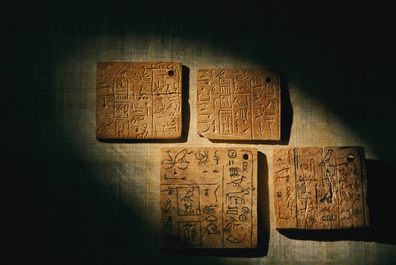 Bone and Ivory Written Labels from King Qa