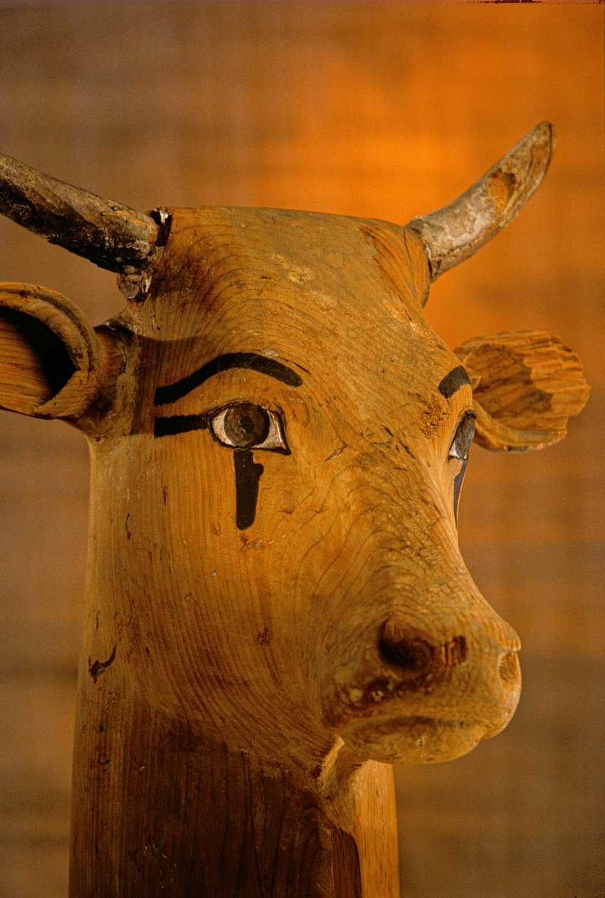 Cow Head Sculpture, KV35, Amenhotep II, 2009 by Kenneth Garrett