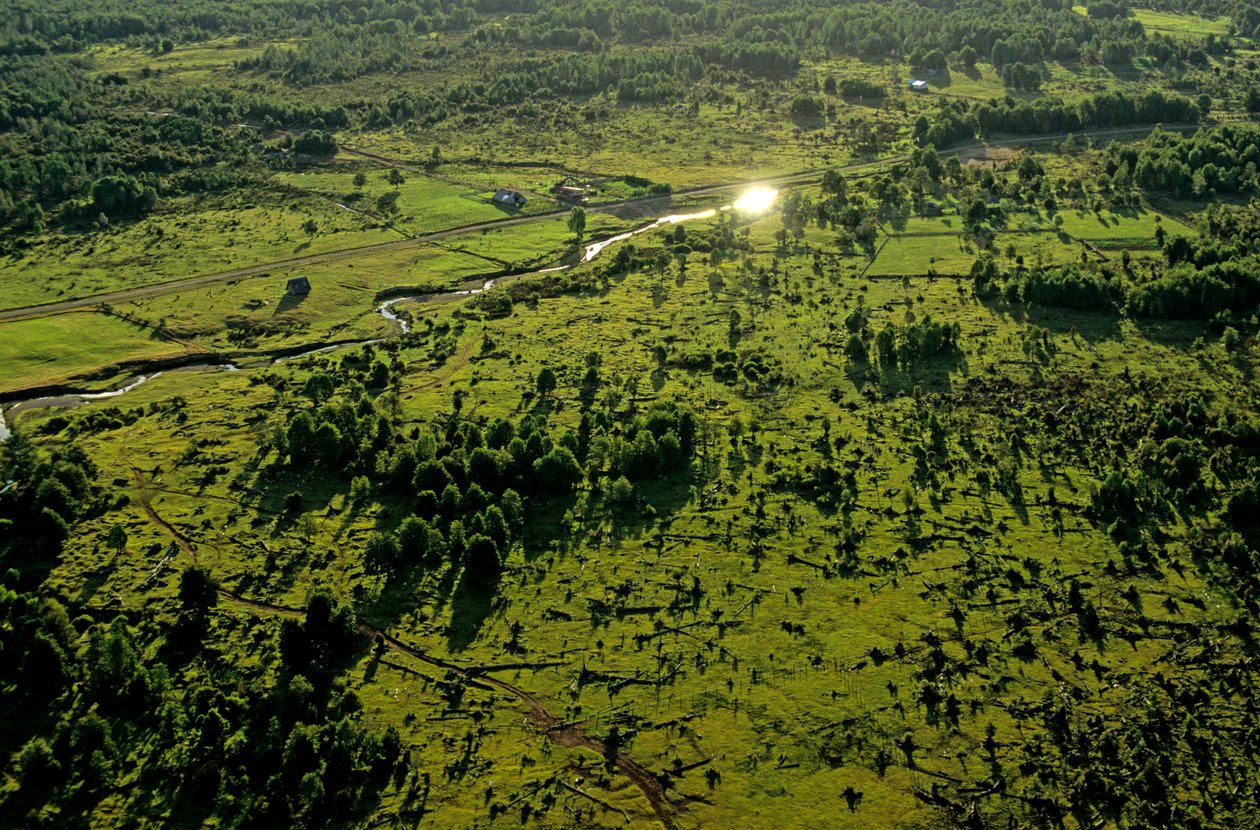 The Most Ancient Americans, Chinchihuapi Creek, Seasonal Home, Hunter Gatherers, 2008 by Kenneth Garrett