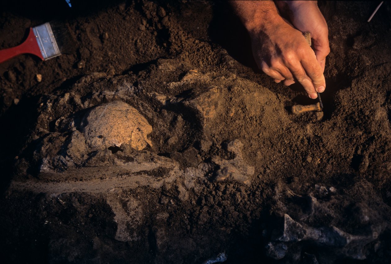 Dmanisi, Georgia, David Lordkipanidze, Homo Erectus by Kenneth Garrett
