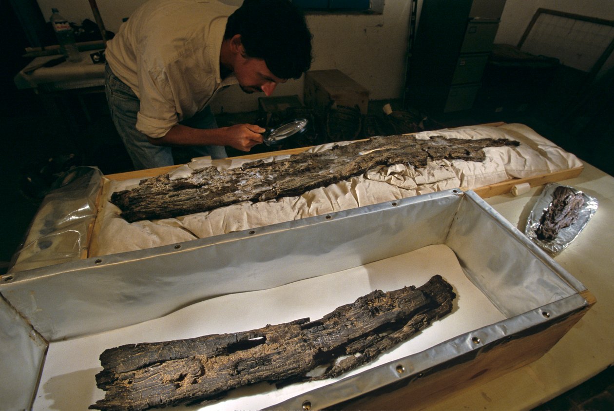 Dr. Matthew Adams inspects wood boat plank in lab, hardwood, not cedar, from Abydos, Egypt by Kenneth Garrett