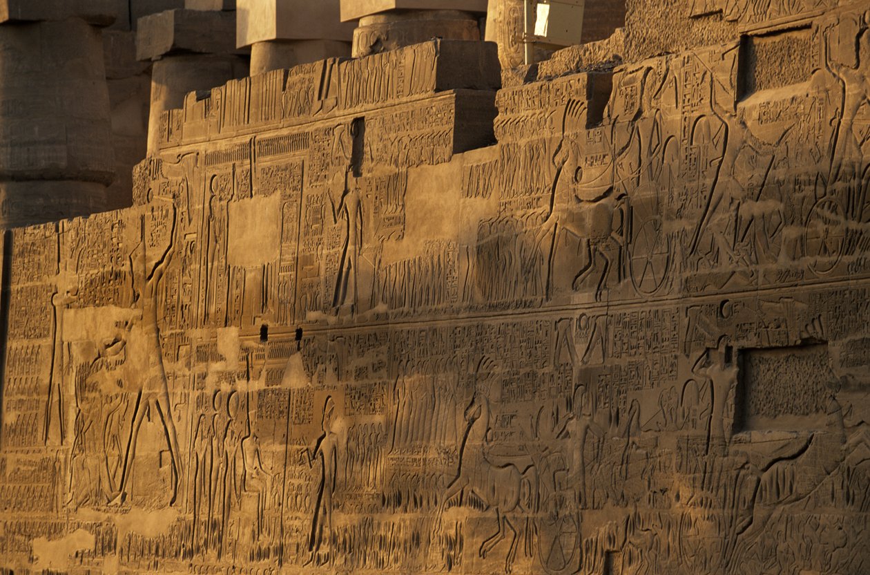 Karnak Temple, Battle of Kadesh, North wall, relief of Ramses II, Hittites by Kenneth Garrett