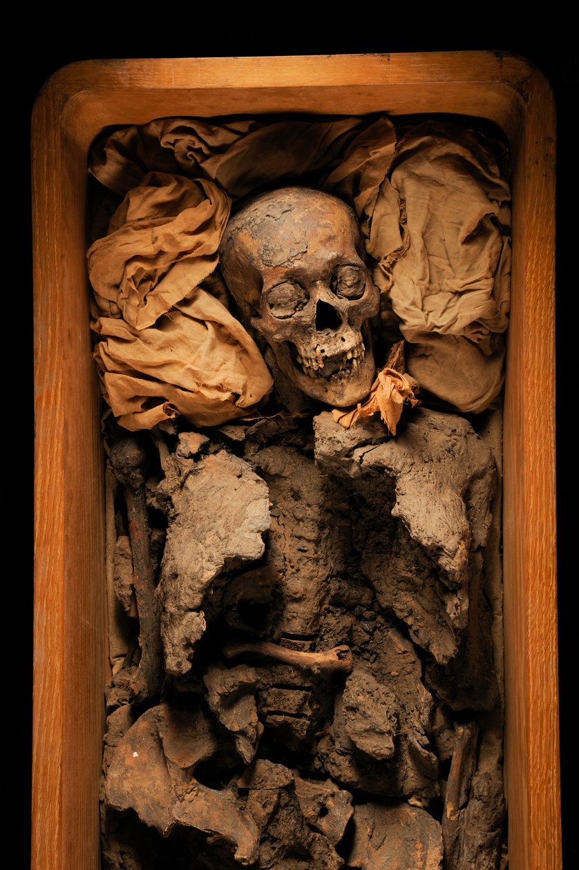 Mummy of Amenhotep III, King Tut