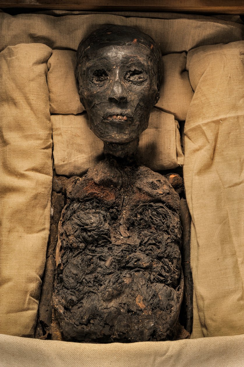 Mummy of King Tut, 18th Dynasty; New Kingdom; the Egyptian Museum; Cairo, 2005 by Kenneth Garrett