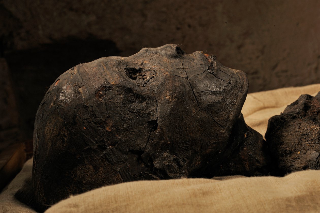 Mummy of King Tut, 18th Dynasty, New Kingdom, the Egyptian Museum, Cairo, Egypt, 2005 by Kenneth Garrett