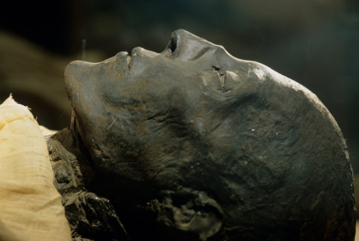 Mummy of Seti I, pharaoh 19th dynasty, New Kingdom, 2002 (photo) by Kenneth Garrett
