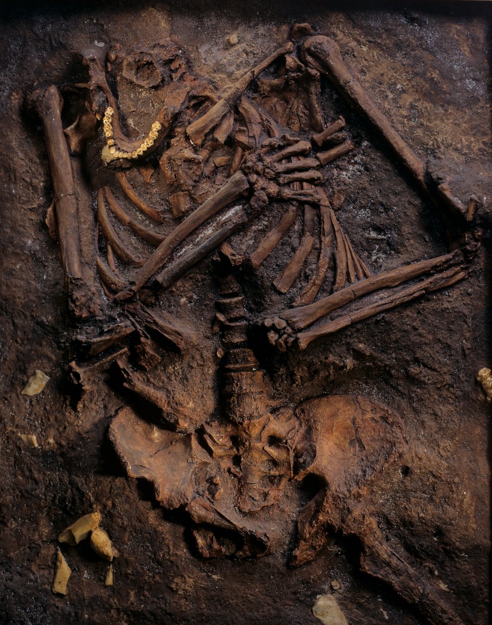 Neandertal, painted cast, Kebara cave, Mount Carmel, "Moshe", c 60,000BP, Israel by Kenneth Garrett
