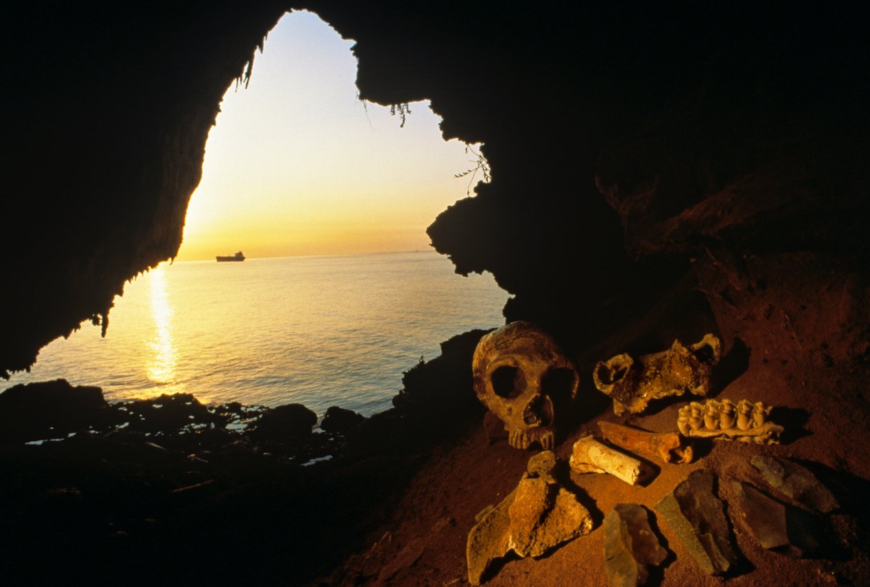 Neanderthal woman