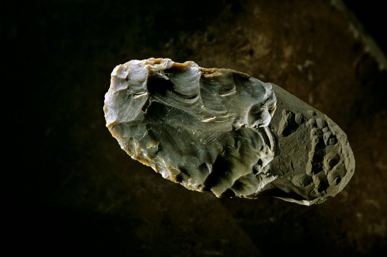 Peopling the Americas, Stone Axe, Gault site, Texas, America, 2000 by Kenneth Garrett
