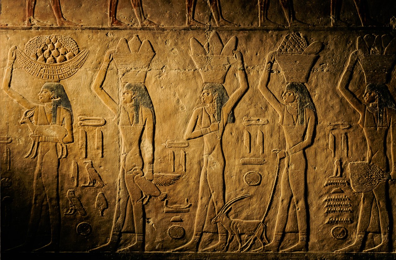 Women Carrying Bread, Bird, Goat and Produce, Tomb of Tiye, Egypt; Old Kingdom; Saqqara by Kenneth Garrett