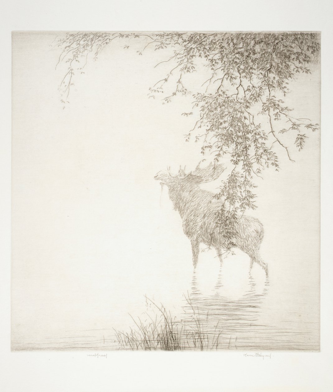 Shadows on the Agawa by Kerr Eby
