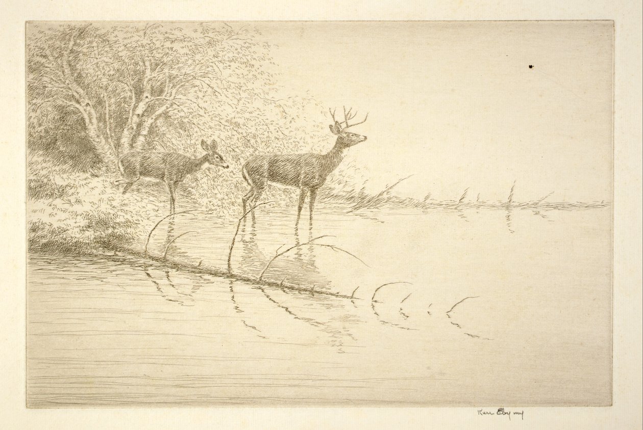 White Tails in the Morning by Kerr Eby