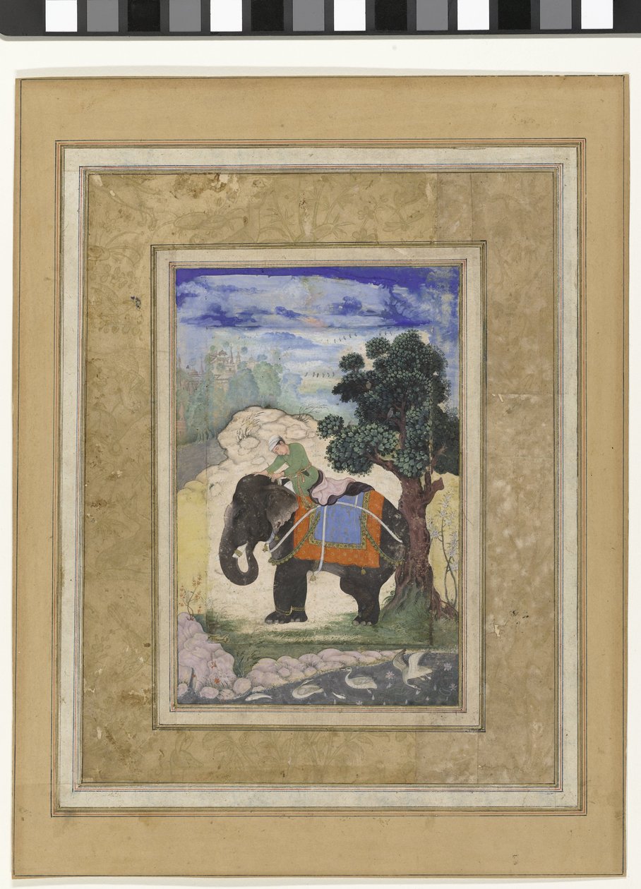 Elephant and Rider by Keshavdas (possibly)