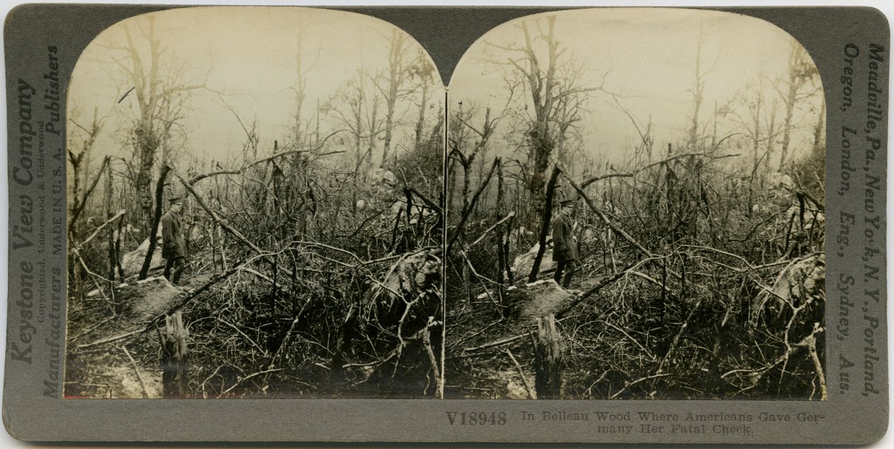 Uniformed Man Walking Through an Area Covered with Destroyed Trees by Keystone View Company