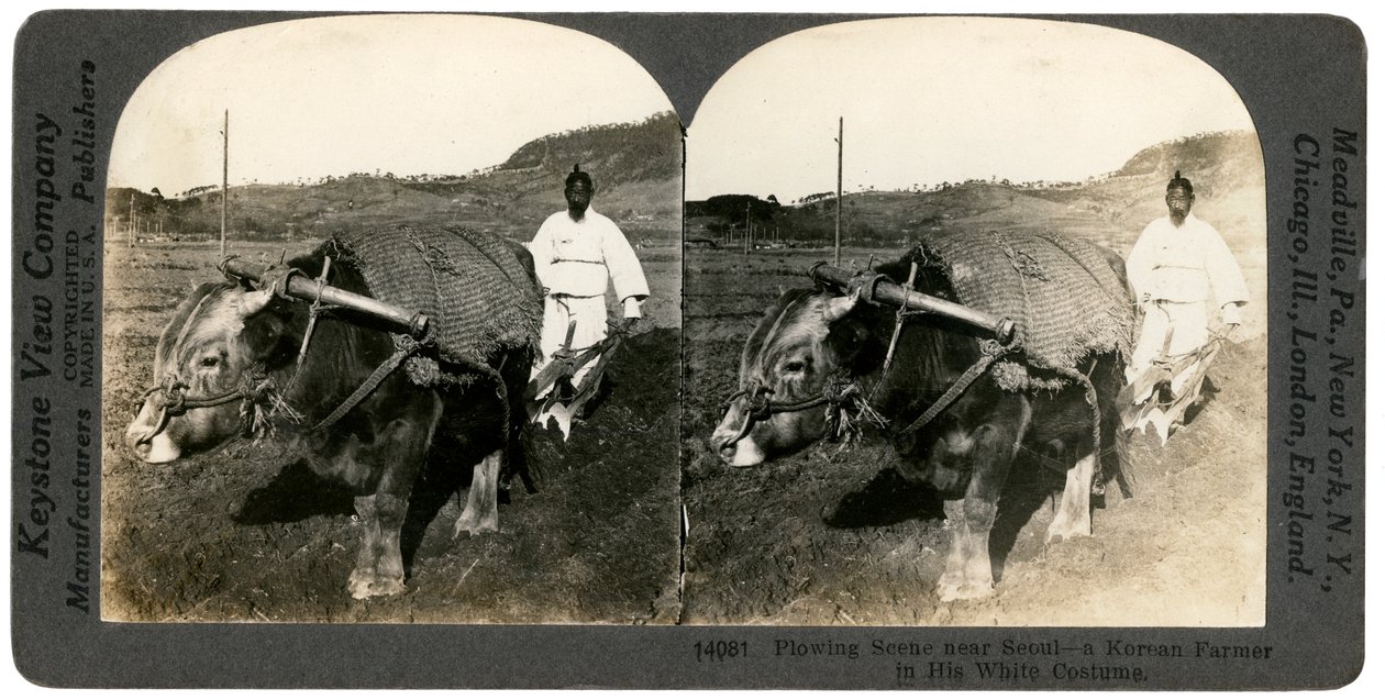 Farming near Seoul, South Korea by Keystone View Company