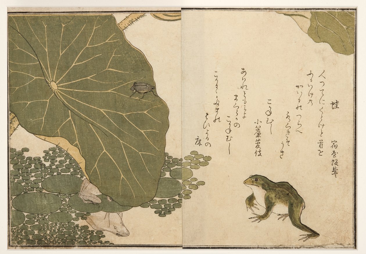 Frogs and golden insect beetle by Kitagawa Utamaro