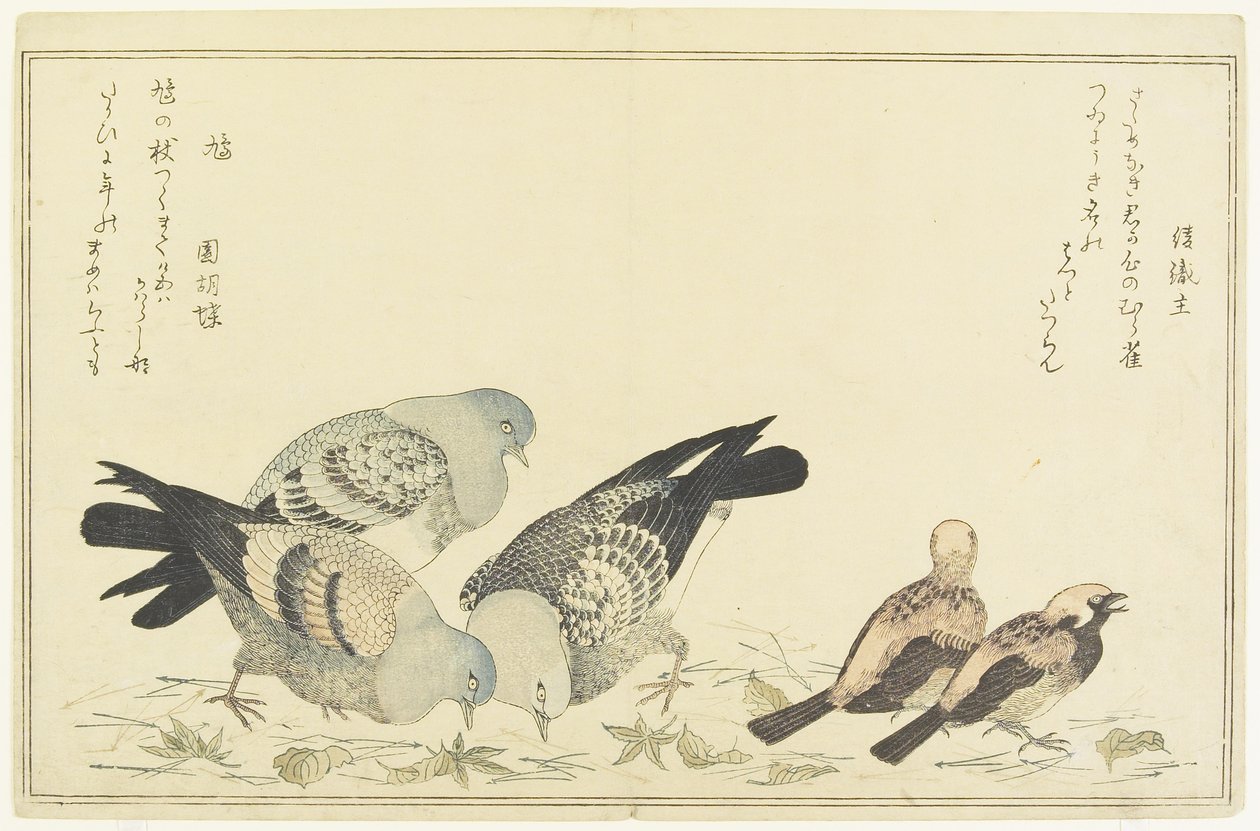 Tree Sparrow and Rock Dove by Kitagawa Utamaro