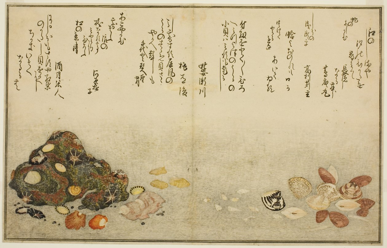 Ashi-gai, Hamaguri, Ko-gai, Suzume-gai, Akoya-gai, and Katashi-gai, from the Illustrated Book "Gifts from the Ebb Tide" by Kitagawa Utamaro
