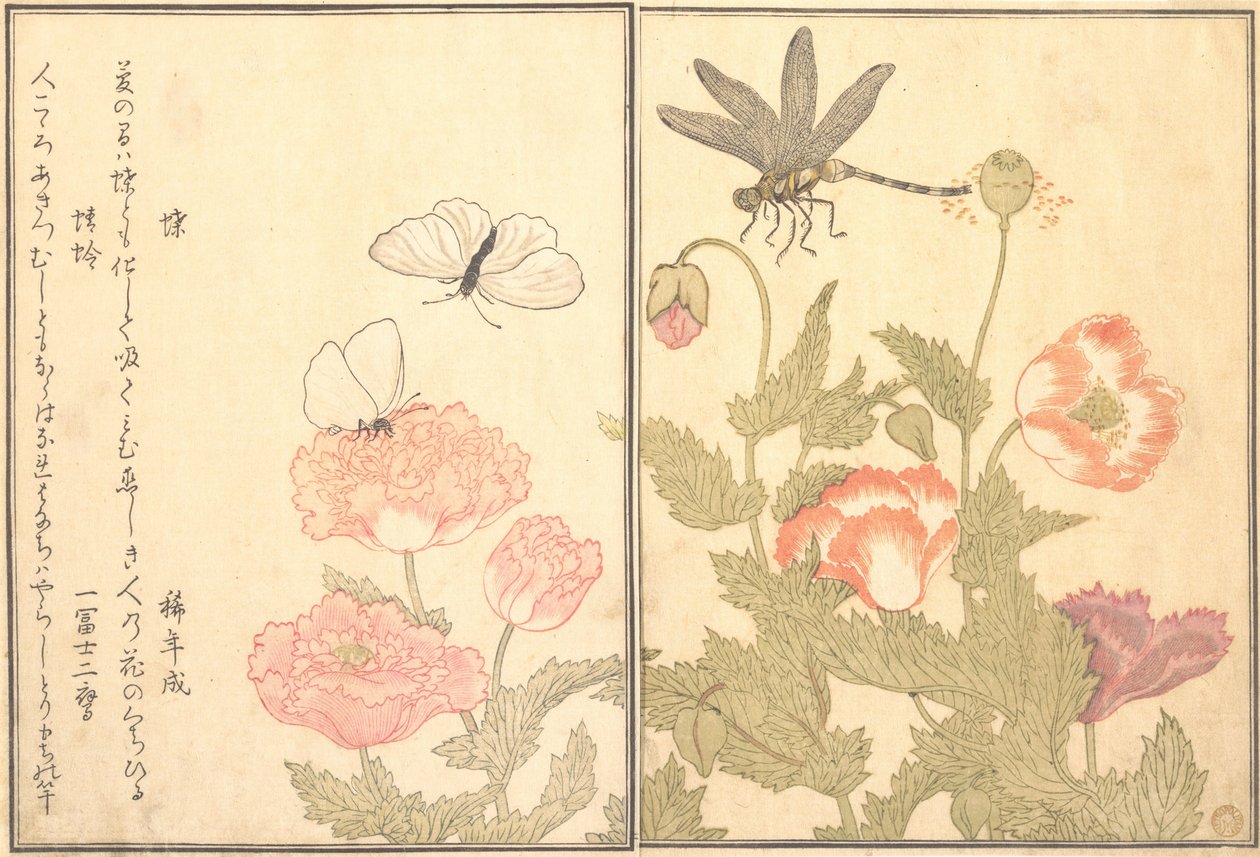 Butterfly Cho, Dragonfly Kagero or Tonbo, 1788 by Kitagawa Utamaro