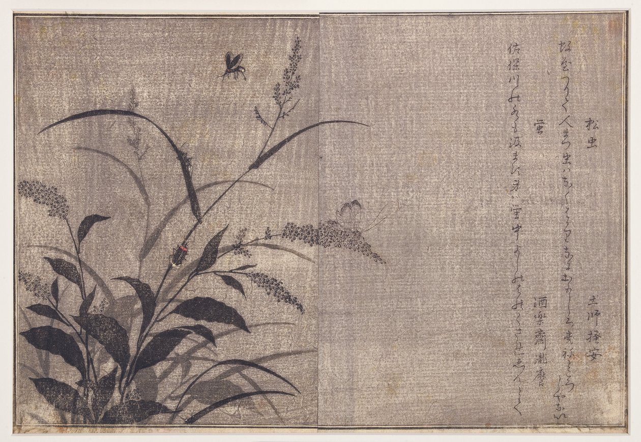Cricket and Fireflies, 1788 by Kitagawa Utamaro