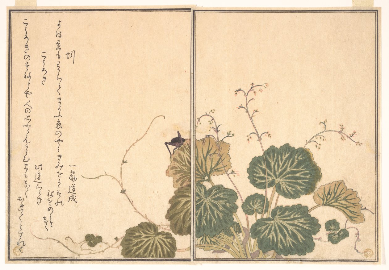 Earthworm; Cricket, from the Picture Book of Crawling Creatures by Kitagawa Utamaro