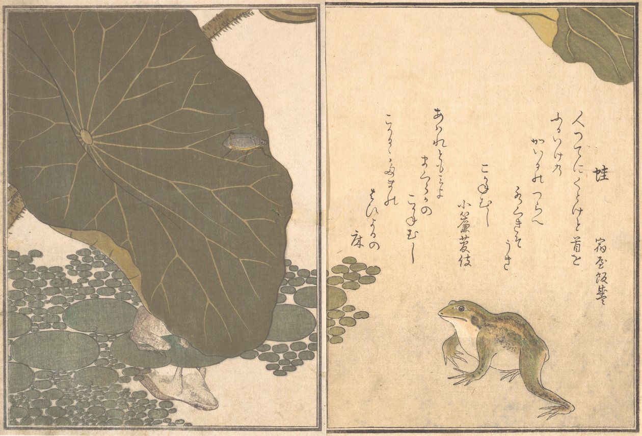 Frog Kaeru, Gold Beetle Kogane mushi by Kitagawa Utamaro
