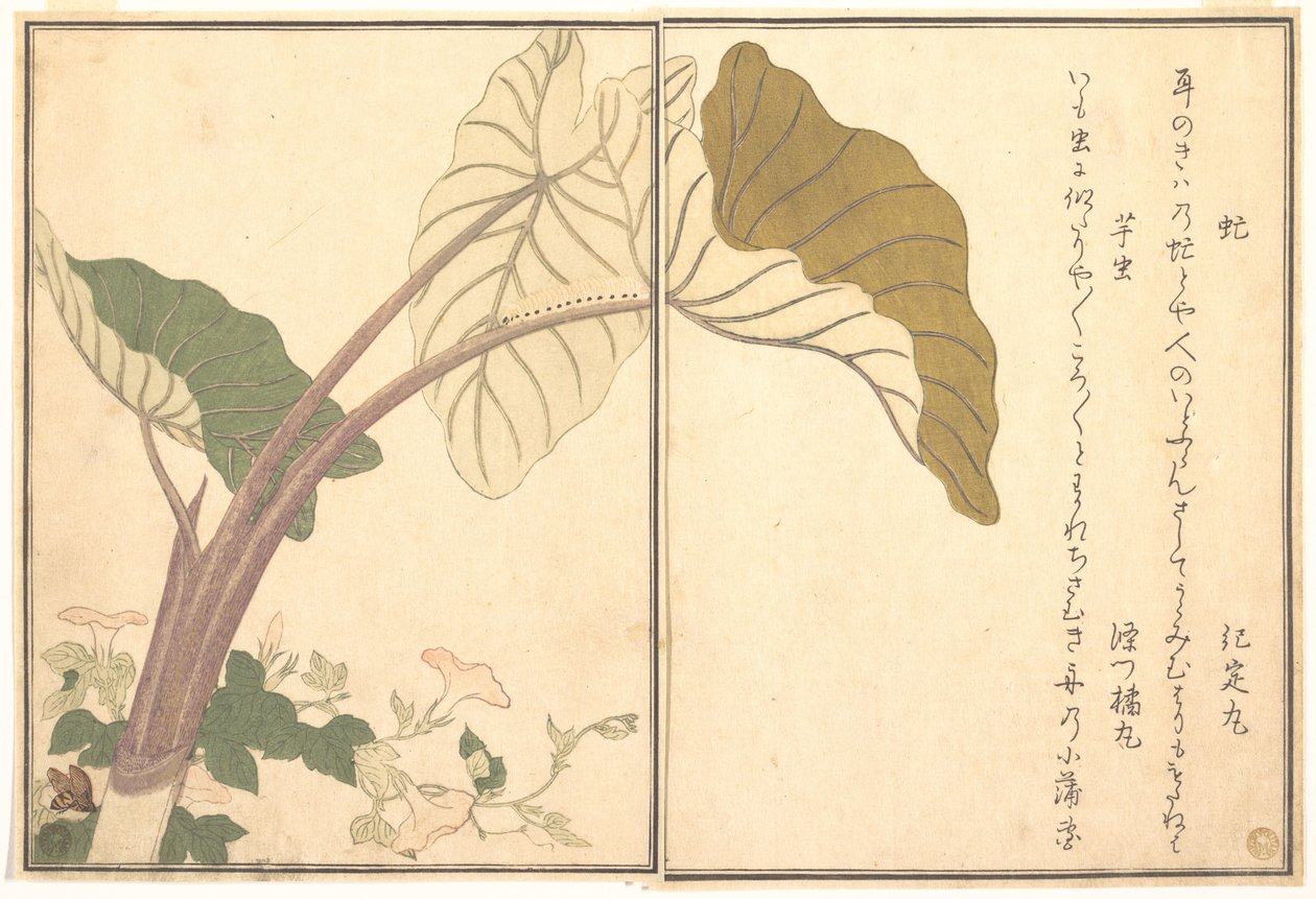 Horsefly (abu); Green Caterpillar, imomushi, from the Picture Book of Crawling Creatures (Ehon mushi erami) by Kitagawa Utamaro