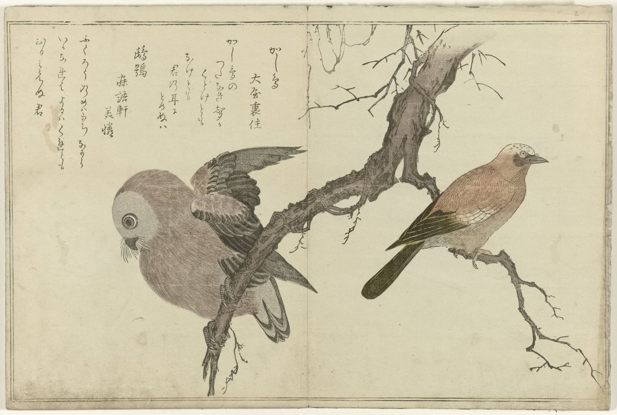 Jay and Owl by Kitagawa Utamaro