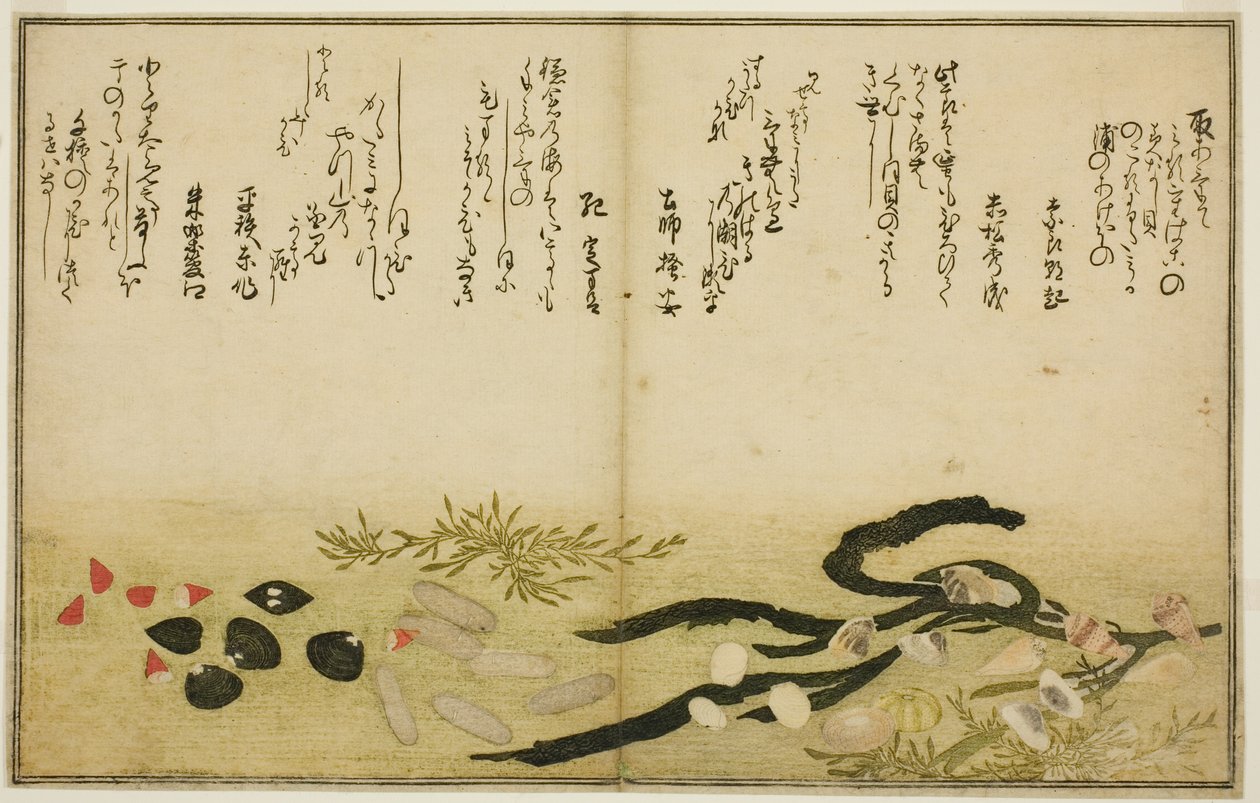 Minashi-gai, shio-gai, katatsu-gai, miso-gai, chijimi-gai, and chigusa-gai, from the illustrated book 