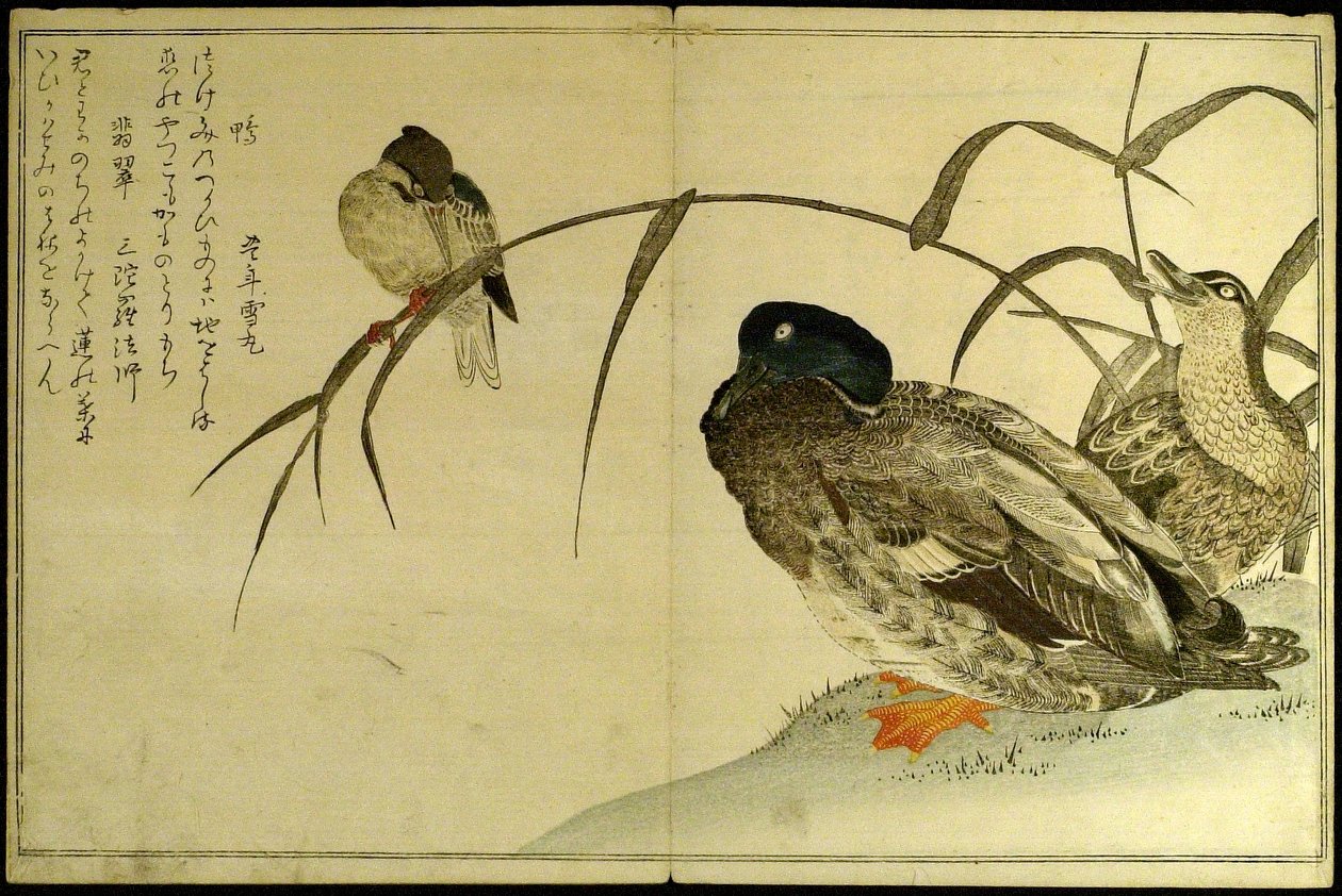 Myriad Birds: A Kyoka Competition by Kitagawa Utamaro