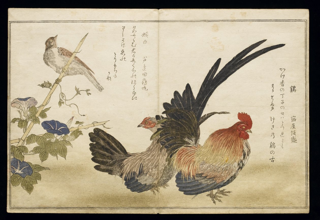 Cockerel and Hen on the right with a Bunting on the left, from an album 